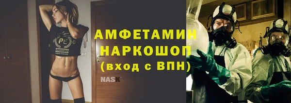 индика Абаза
