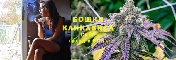 PSILOCYBIN Россошь